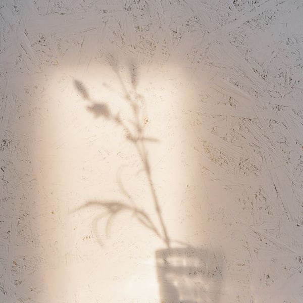 A person smiling and feeling refreshed during a light workout.